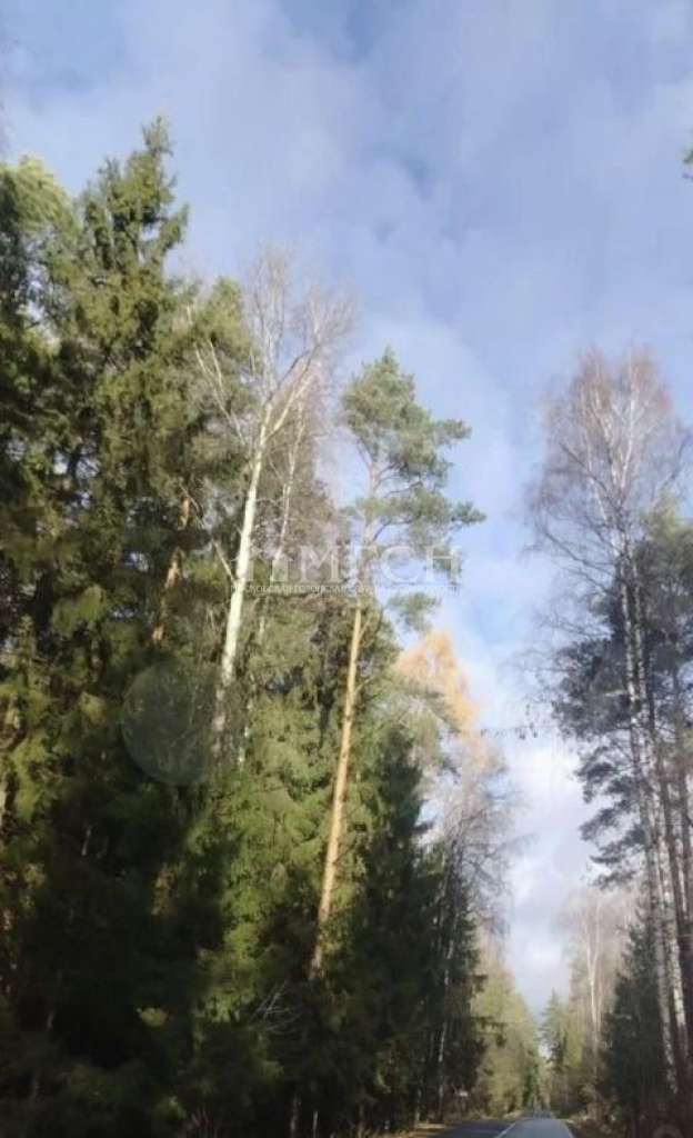 Продажа участка. Носовихинское шоссе, Деревня Шевёлкино, улица Муслима Магомаева, 11