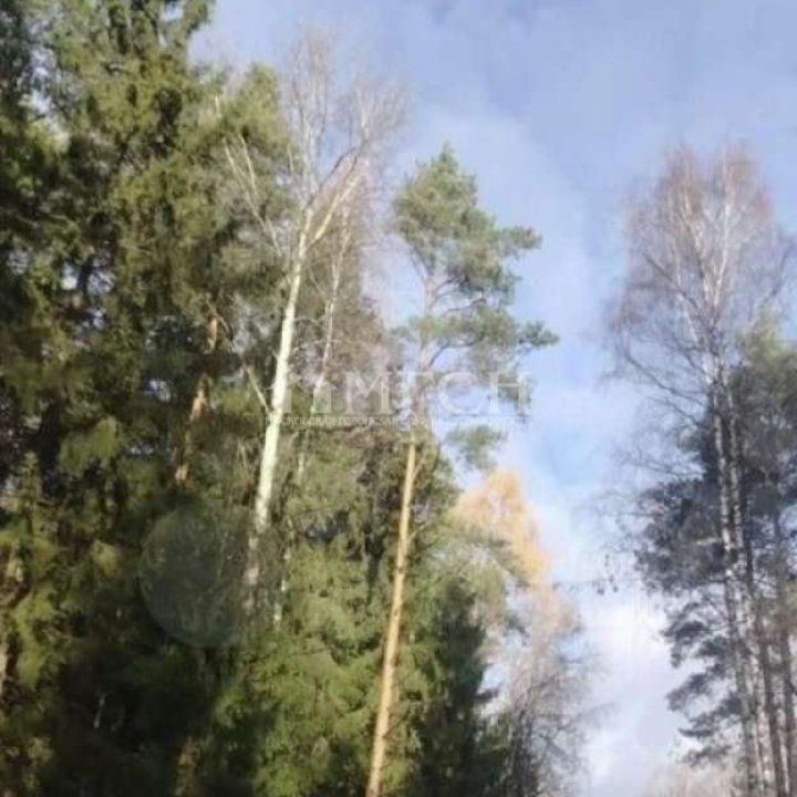 Продаётся участок 8 сот. (Носовихинское ш.) Деревня Шевёлкино, городской округ Щёлково, микрорайон Шевёлкино-4, улица Муслима Магомаева, 11